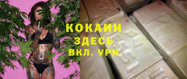 МДПВ Тайга