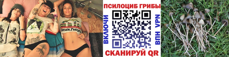Галлюциногенные грибы ЛСД  где продают   Киреевск 